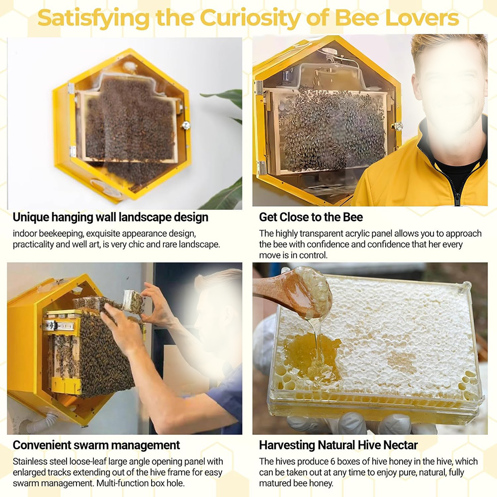 Beekeeping Observation Beehive Starter Kit Wall-Mounted Hexagon Bee Hive