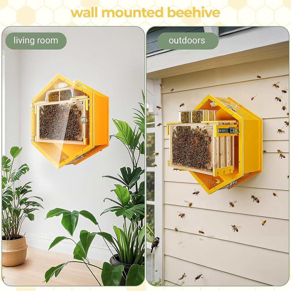 Beekeeping Observation Beehive Starter Kit Wall-Mounted Hexagon Bee Hive