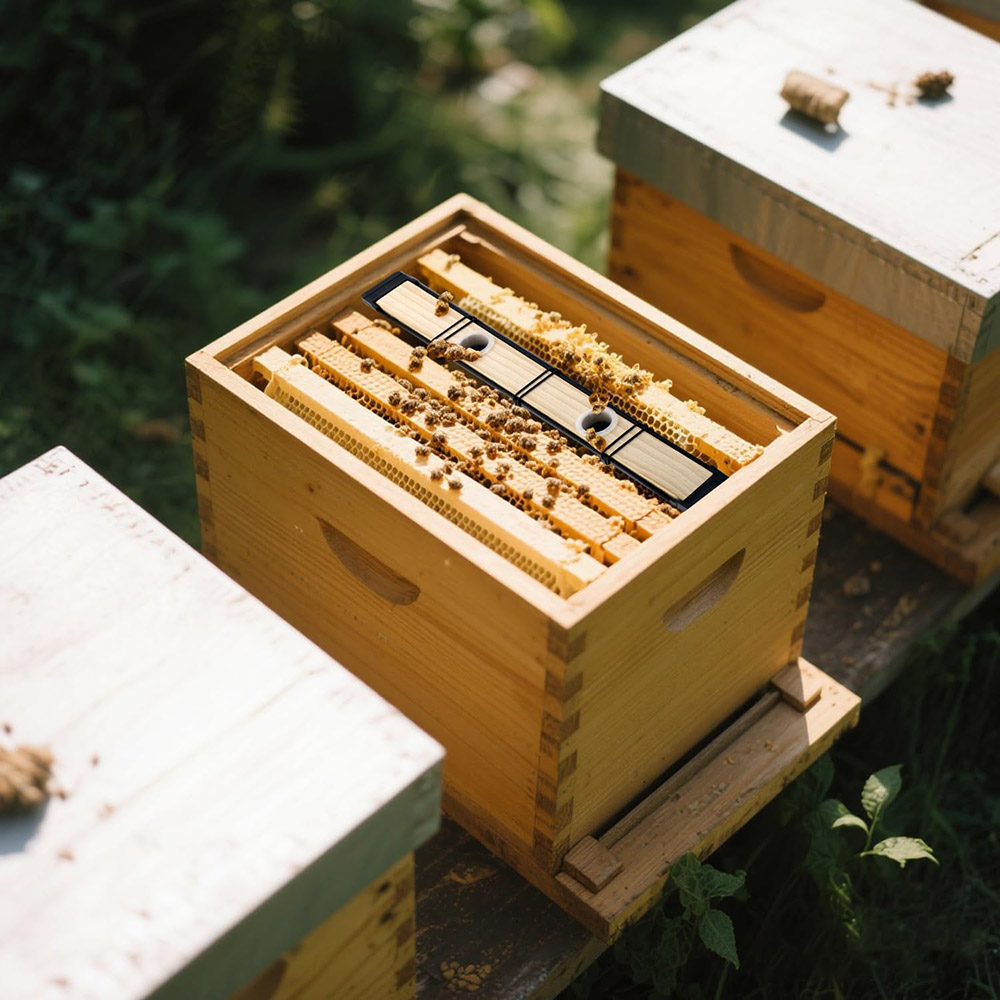 Beekeeping Frame Feeder Beehive Frame Syrup Bee Feeder