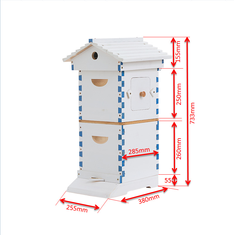 Flows Bee Hive Mini Bee Hive with 4 Pcs Starter Kit 6-Frames Complete Beehive Kit