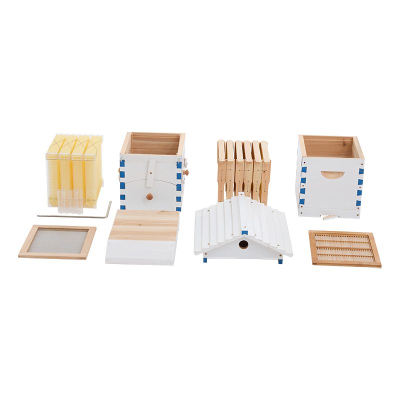 Flows Bee Hive Mini Bee Hive with 4 Pcs Starter Kit 6-Frames Complete Beehive Kit