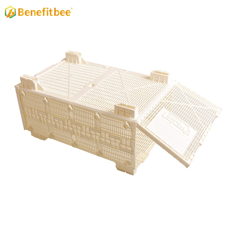 Beekeeping Beehive Package Transport Box Breathable Bee Hive Nuc Box Package